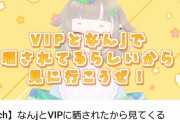 【悲報】なんJに晒された新人VTuber、とんでもない動画をアップしてしまうｗｗｗｗ