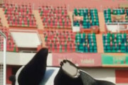 中国人「日本のサッカー選手でもこんなことをする」　中国人「恥をかくのはいいこと」「日本は画質と比例し、中国は反比例」