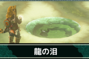 ティアキン俺「地上絵みっけ！よし、龍の泪は…」←この時間この時間この時間！！！