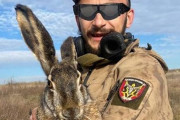 あまりの大きさにカンガルーかと思ったらウサギだった。ウクライナ兵が巨大ウサギと遭遇