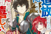 リーダー「お前はクビだ！」なろう主人公「はい…(──言ってなかったが実は影でこっそり支援魔法で能力を強化して)」←これ