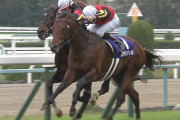 【競馬/マイルCS】ルメールｗｗｗｗｗｗｗｗ捨てたステルヴィオに勝たれるｗｗｗｗ