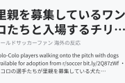 里親を募集しているワンコたちと入場するチリの選手たちに海外もほっこり！（海外の反応）