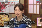 【画像】 北川景子「NHKって本当に商品名言っちゃダメなんだ・・・」