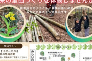 【自然体験】愛犬と一緒に楽しむ「里山フェス」の魅力について