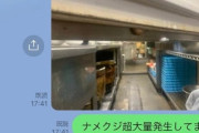 【悲報】大阪王将のとある店舗、厨房がゴキブリやナメクジまみれでヤバすぎる