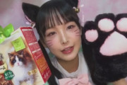 福ちゃん、猫の日を堪能する