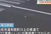 【不運】家族追いかけ車道を渡った幼稚園児がはねられ死亡／由布