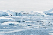 南極大陸西岸の棚氷、今後5年以内に崩壊の可能性…米英研究者ら！