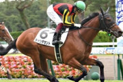 【2歳新馬】キャンデセント強すぎワロタwwwwwwww