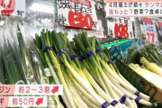4月1日から値上げ続々「総額表示」変更で野菜も高騰　一風堂、丸亀製麺も…