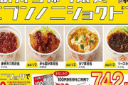 かつやが「ほぼ1/2サイズのかつ丼」発売！2種類選んでも780円でナイスな価格