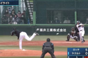【二軍試合結果】ヤクルト２－１２ロッテ　寺島久保杉山が炎上　並木2打点