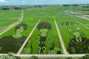 【画像】田んぼアートってどうやって作るのこれ？