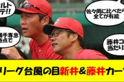 【朗報】広島新監督新井さん、ほんのりと名将臭が漂い始める