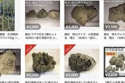 メルカリで「小笠原海底噴火の軽石」が出品禁止に！！その理由とは
