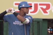 日ハム万波中正 .245 8本 28打点 OPS.806