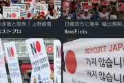 なぜ韓国人は「日本」を何度も訪れるのか？ 訪日経験者の78.8%がリピーター！―変わり始めた「日本旅行」とは [9/12]