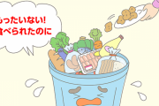 学生「農家は規格外野菜を捨てるのはおかしい！ 売れば食品ロスが減るのに」 ⇒ 農家「実はそれやると食品ロスは増えるんだよ」