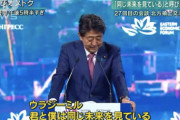 【悲報】メドベージェフ「安倍晋三との交渉は、常にただの儀式だった…！」