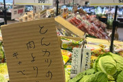 スーパー「トンカツの　肉より高い　キャベツかな」→「これくらいが適正価格」農業関係者の声も