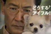 チワワのアイフルCMで有名な俳優・清水章吾さんの末路ｗｗｗ