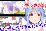 Vtuber さくらみこの放送で湧いて「ぺこらぺこら」コメントしては、「みこがぺこら無視した！！」って暴れる野うさぎちょっとやばすぎでは？
