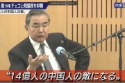 チェコ上院議長が台湾訪問　中国･王毅外相｢高い代償を払わせる｣