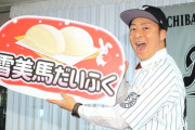 ロッテフロント「益田荻野レアードマーティン残留させて福田美馬ジャクソン補強したぞ」
