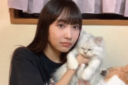 【SKE48】野村実代のねこかわいがり…w