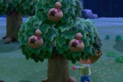【あつまれどうぶつの森】ベルの木を間違えて切らないように、何か目印ない？