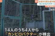【群馬】「水道水で食中毒」14人が下痢や腹痛などの症状を訴え　「カンピロバクター」を検出　神流町