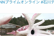 【画像】北陸土人さん、コロナ交付金で巨大イカのフィギュアを作って炎上wwwwwwww