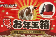 ヨドバシカメラの福袋｢2021年 夢のお年玉箱｣の中身まとめ