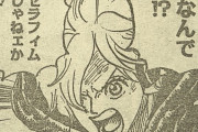 【悲報】ワンピース、どうでもいいセラフィム戦に1話使用してしまう