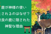 「中国人は奈良の鹿蹴ってけしからん」→日本人は鹿を蹴るどころか残忍な方法で殺していた