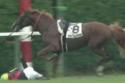 気性難馬で狂ったあと　投稿者：ジョッキーIKZE