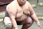 【相撲】血管見つからず採血に45分要した220キロの力士が入院　師匠「太りすぎ」