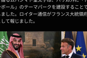 【朗報】フランス、サウジアラビアが「ドラゴンボールランド」建設で合意wwwwwwwwww