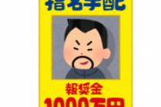 【画像】ガチで金欠すぎてこの「指名手配犯」を探して懸賞金もらうことにした