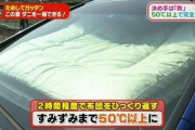 高温の車内に布団入れたらダニ死滅するんじゃね？？？