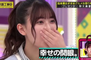 【乃木坂46】ここまでのお取り寄せグルメのお値段…