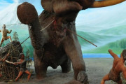 【画像】昔の人ってナウマンゾウ狩ってたらしいけど