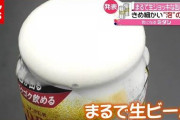 【画像】いま話題の「泡ビール」買ってきたぞおおおおおおおおｗｗｗｗｗ