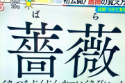 海外「日本人は普通に使ってるけど難しすぎる漢字といえば何？」