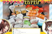 【にじさんじ】1万円分のマクドナルド、意外と多くないな