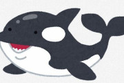 【悲報】鴨川シーワールドとかいう人間がシャチと一緒にプールに入る狂気の水族館ｗｗｗｗｗｗｗｗ