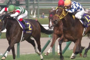 【競馬】社台ファームとノーザンファームの違いって何だと思う？