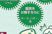 カビが生えた食べ物、そこだけ取り除いて食べれば大丈夫なの？　→　衝撃結果が・・・