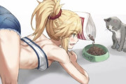 【FGO】猫にご飯あげてるモーさん！　ちゃんと待てしてるのえらいな！